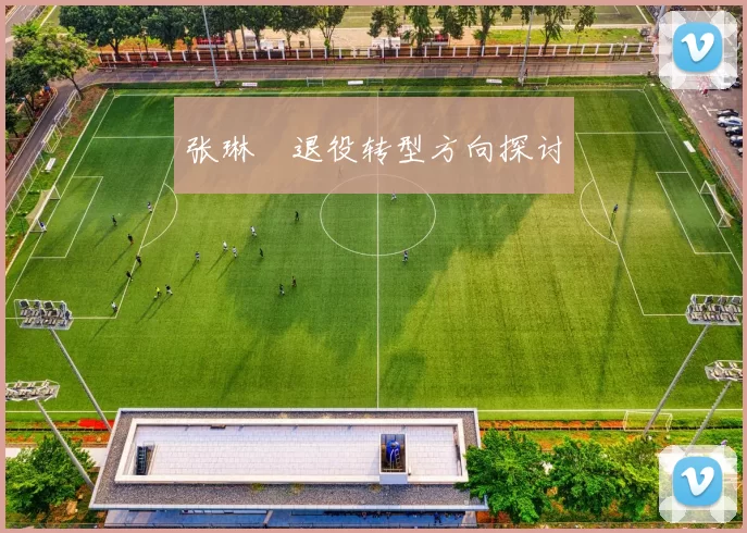 张琳芃退役转型方向探讨