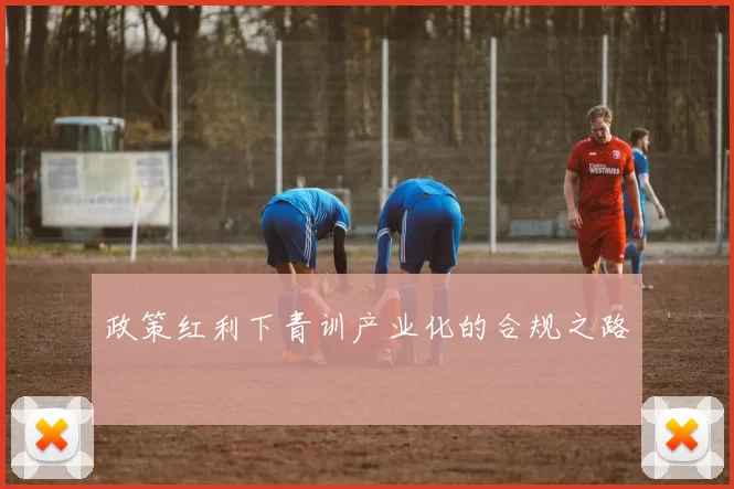 政策红利下青训产业化的合规之路