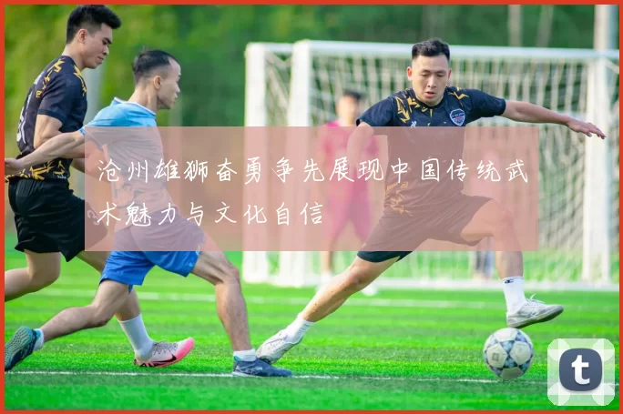 沧州雄狮奋勇争先展现中国传统武术魅力与文化自信